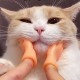 Adult Kid Novelty Toys Funny Mini Hands Creative Finger Fidget Toys Soft Small Hand Tease the Cat Pet Toy Halloween Gift